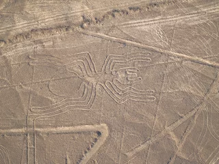 Foto op Canvas Nazca-lijnen Peruaanse woestijn © Jgz