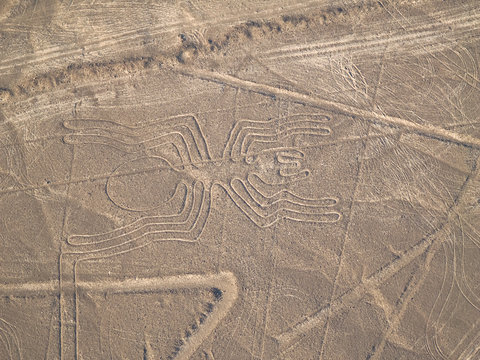 Nazca Lines Peruvian Desert