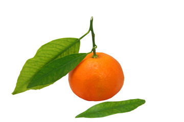 Mandarin with the leaf isolated over the white with path