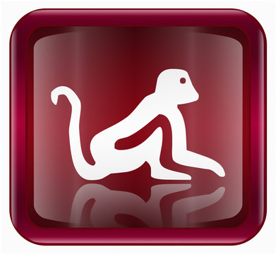 Monkey Zodiac icon red, isolated on white background.