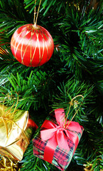 Close-up of Christmas decorations on a tree.