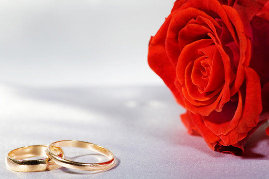 On a photo a rose and wedding rings..