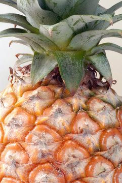 Ananas