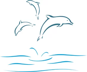 Plaid mouton avec motif Dauphins dauphins