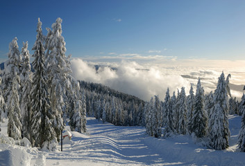 mt. seymour ski resort with fresh snow