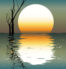 Lake. A night scene. A vector illustration.