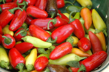 Basket of peppers