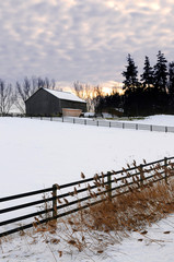 Farm with a barn and horses in winter at sunset © Elenathewise