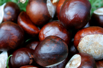 IMG_6385MARRONS