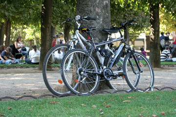 Fototapeta premium IMG_6408velos