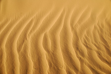 Close-up shows details and structure of the sand.