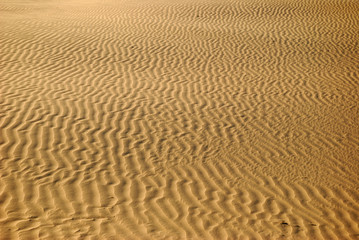 The wind creates patterns and drifts like an artist.