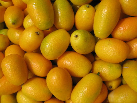 kumquats