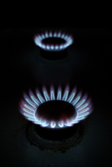 Blue flames of gas stove in the dark
