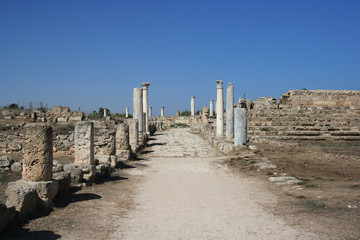 Road to the Past (Salamis, N.Cyprus)
