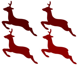 veados © António Duarte