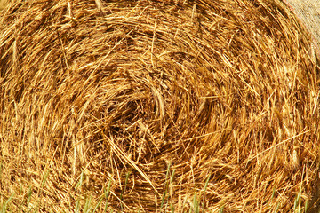 Straw hay bale background