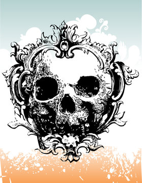 Vector decayed skull illustration