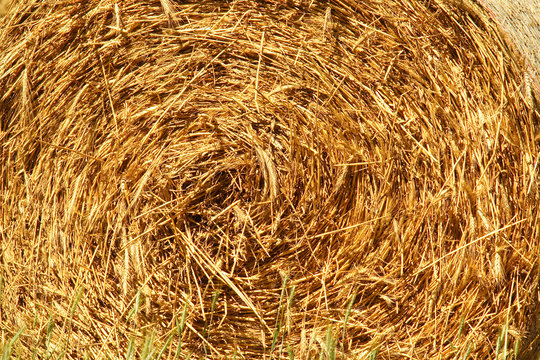 Straw hay bale background
