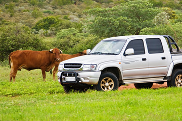 Modern farmer at the cattle post in Botswana,