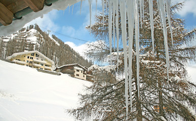 winter view with icicles