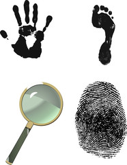 Finger print, hand print, foot print. Crime scene investigation.