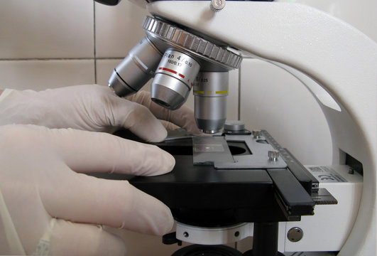 Microscope