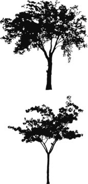 Tree Silhouettes b