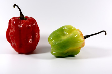 Rote und gr&uuml;ne runde Chili