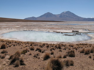 hot springs in the altiplano, Chile