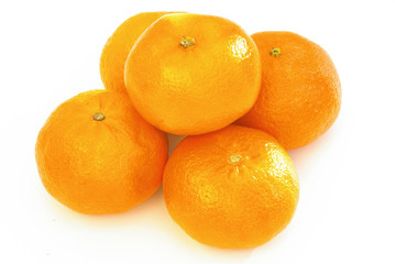 Mandarine 01