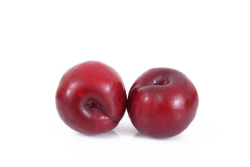 prugna