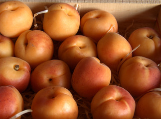 Apricots in Wooden Crate