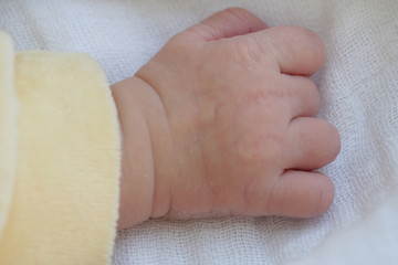 Babyhand