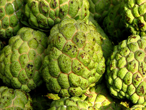 Custard Apples