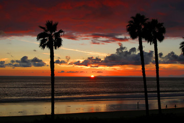Sunset  San Clemente Pier with Palm Trees. - obrazy, fototapety, plakaty