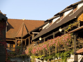 Géraniums sur des balcons