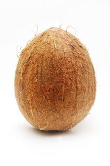 Big coconut isolated