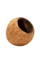 A cup made from coconut