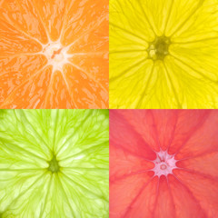 Orange,Lemon,Lime & Pink Grapefruit slices.