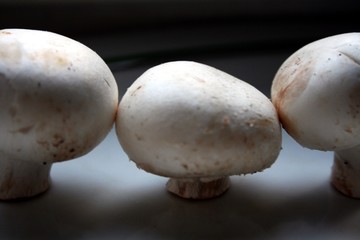 3 Champignons