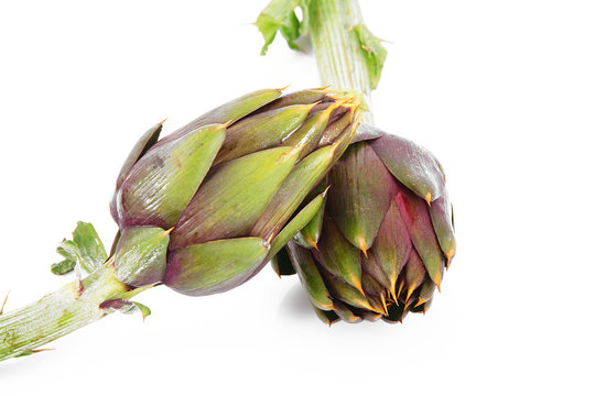 carciofo