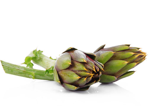 carciofo