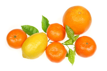 Citrus fruit collection isolated on white. 