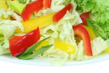 Colorful and tasty vegetable salad. Cuisine photo.