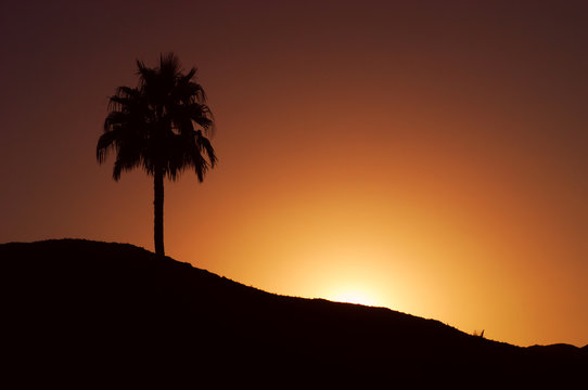 Beautiful Image of a sunset in the desert