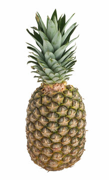 Pineapple fruit (Ananas comosus) on white with clipping path
