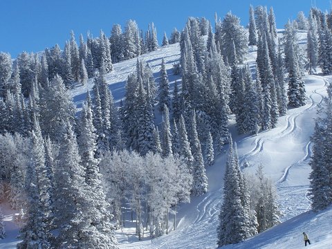 Powder Mountain 4
