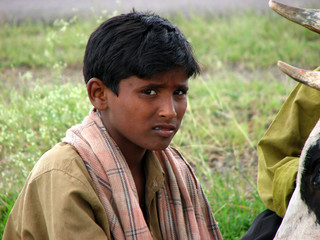 Inquisitive Boy