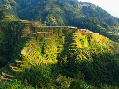 Banaue Rice Terraces 2